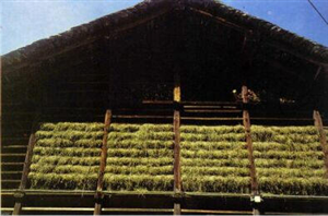 La Lobbia